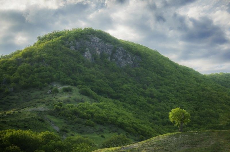 Купаясь в лучах Солнцаphoto preview