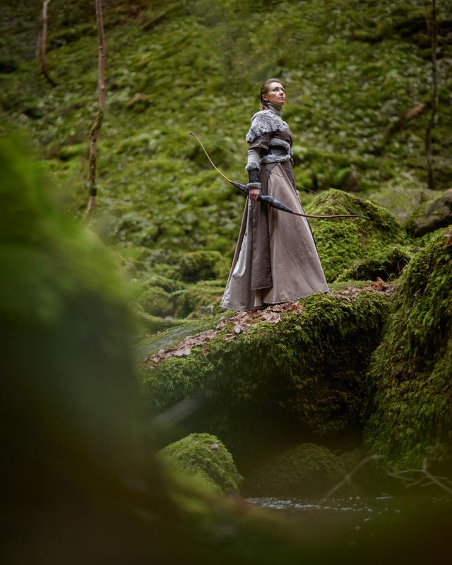 Викинг, сказка, девушка викинг, костюм, лес, лук, воин Викингphoto preview