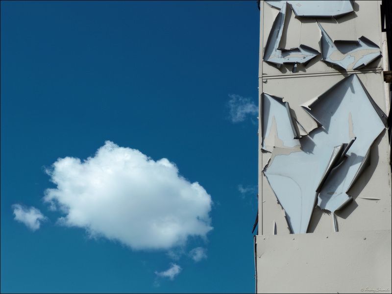 Etude in bluephoto preview