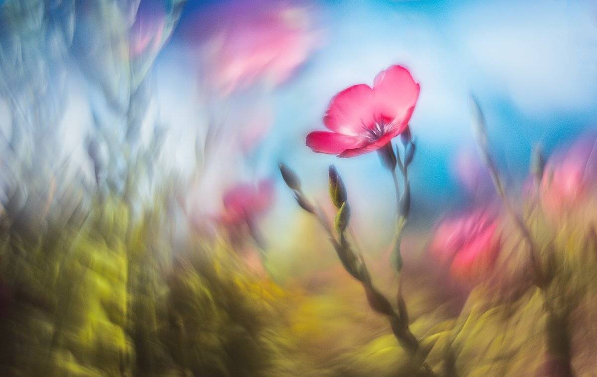 , Татьяна Аверина