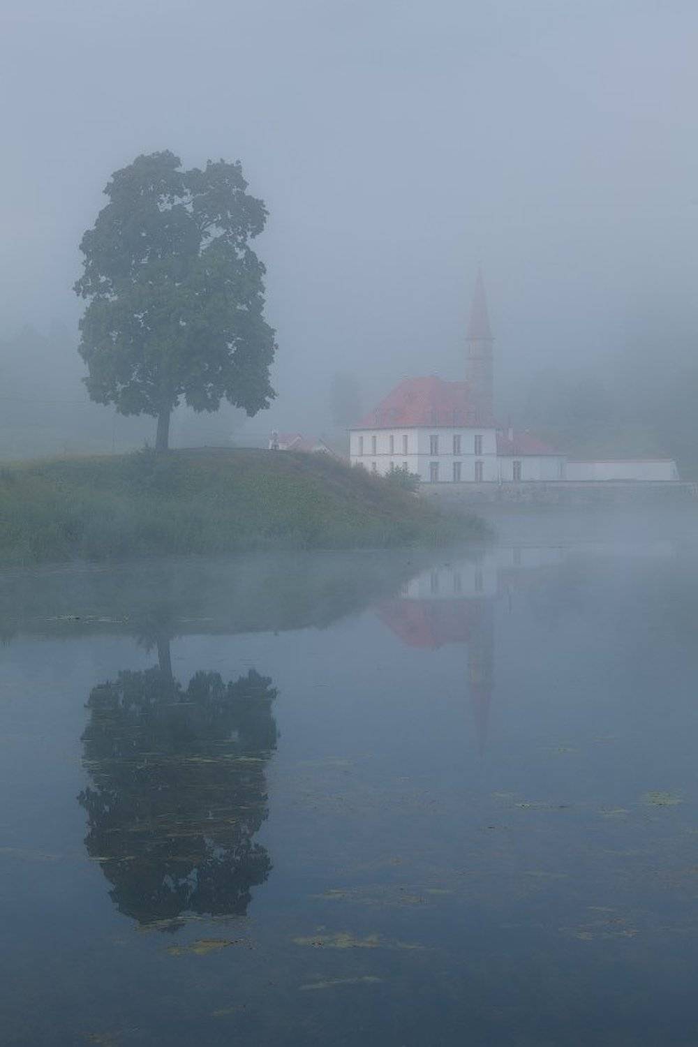 Гатчина: Приоратский дворец. Автор: Alex Darkside гатчина, приоратский дворец, туман, утро, Alex Darkside