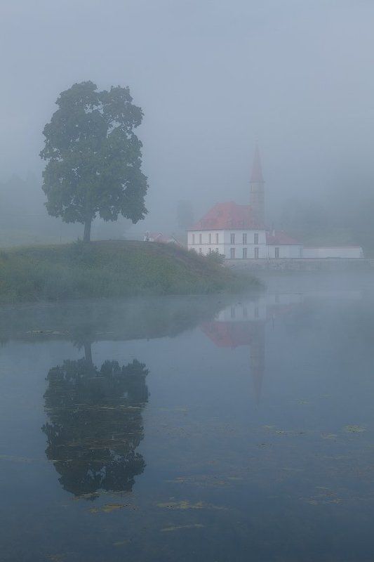 гатчина, приоратский дворец, туман, утро Гатчина: Приоратский дворец фото превью