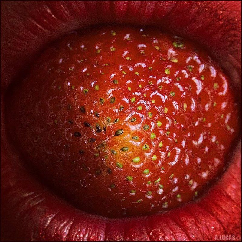 RED ORBIT ©2015 фото превью