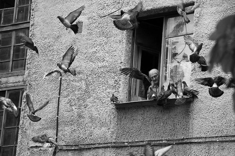 Кондратьевский,40 .. или хроника уходящего дома (часть 1)photo preview