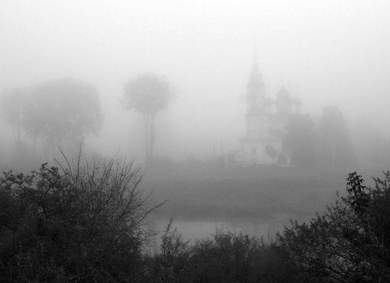 в серыхphoto preview