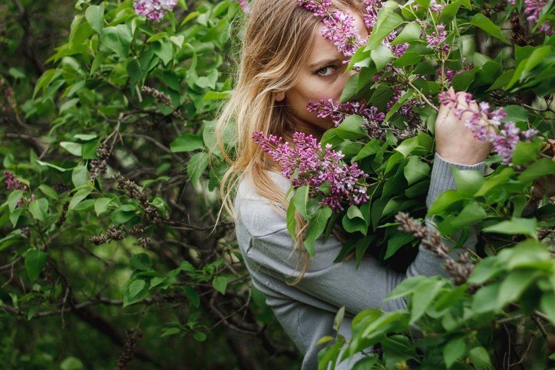 сирень, ветер windy фото превью