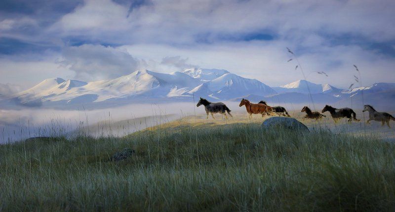 В поисках Беловодья..photo preview