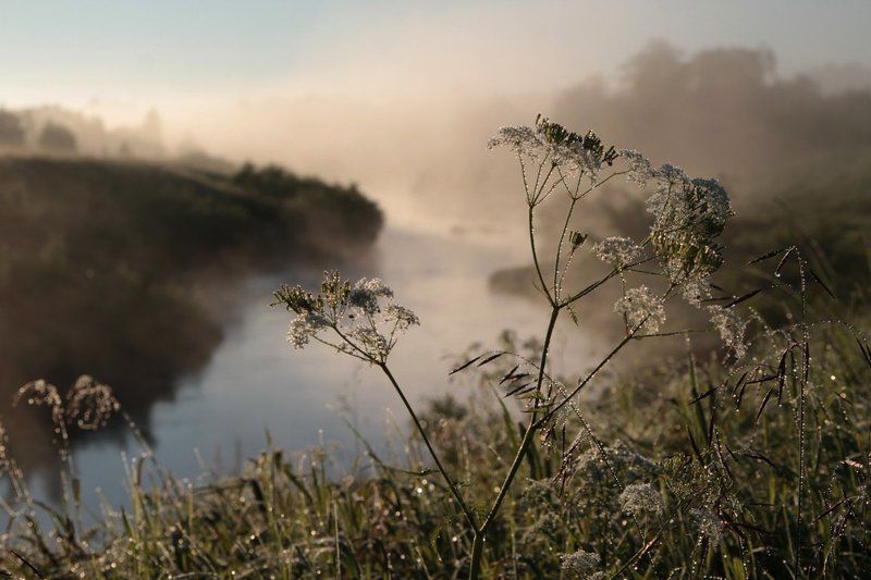 утро солнечного дняphoto preview