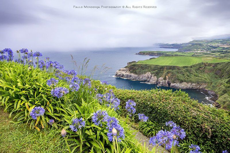 lush and green Azoresphoto preview