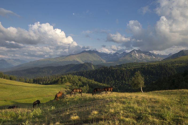 Архыз. Веховья реки Дуккаphoto preview