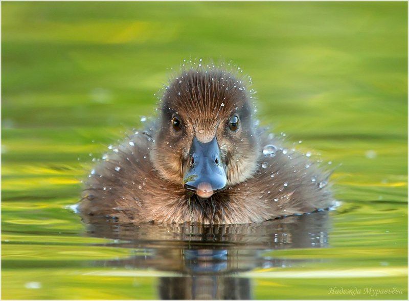 Малышphoto preview