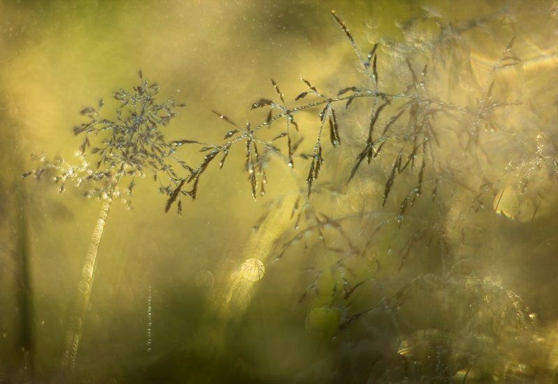 Экспрессия утра...photo preview