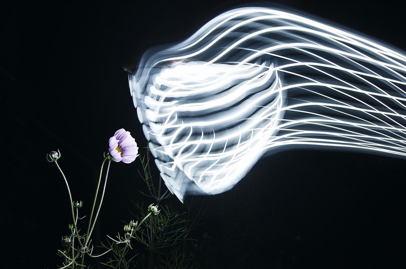 Last message from Voyagerphoto preview