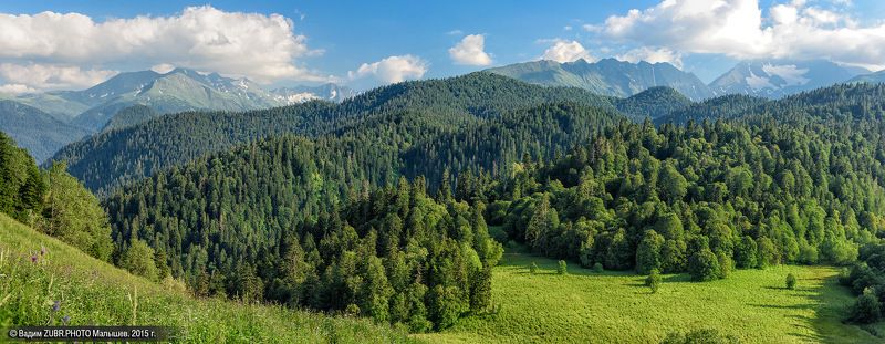 Zubrphoto, Горы, Заповедник, Кавказ, Лес, Лето, Панорама, Пейзаж Место где живут зубры.photo preview