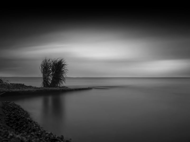 dance in the windphoto preview