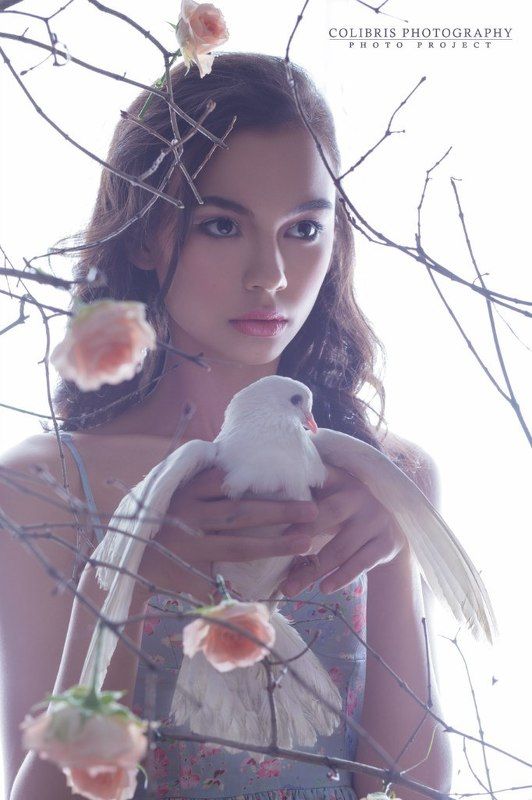 dove Dovephoto preview