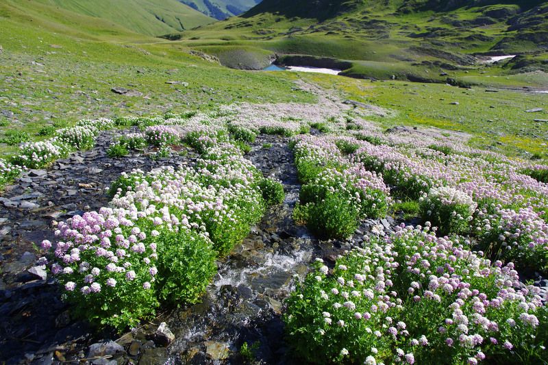 Утро в цирке Уруштенаphoto preview