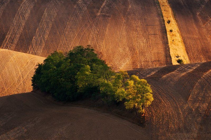 Countryside, Czech republic, Evening, Fields, Hills, Light, Rural, South moravia, Summer, Trees Islandphoto preview