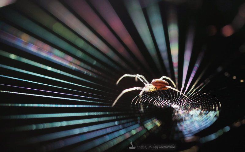 этапphoto preview