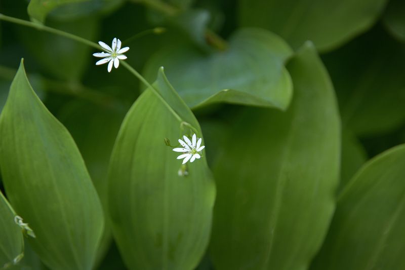 Двое в океане жизниphoto preview