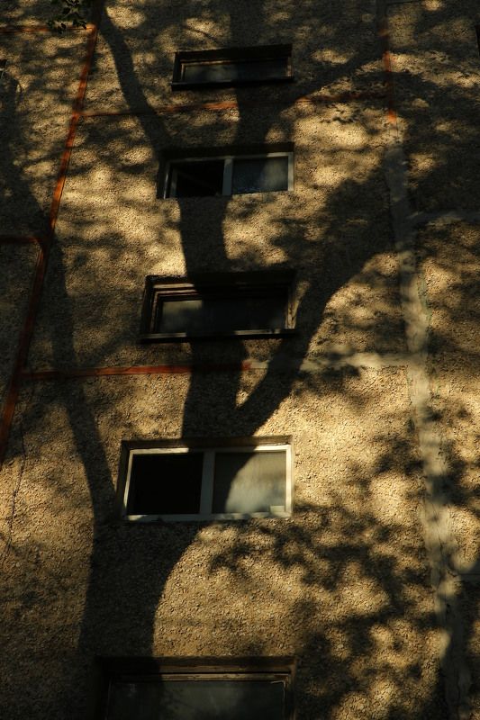 шаварёв, арт, Гнёздаphoto preview