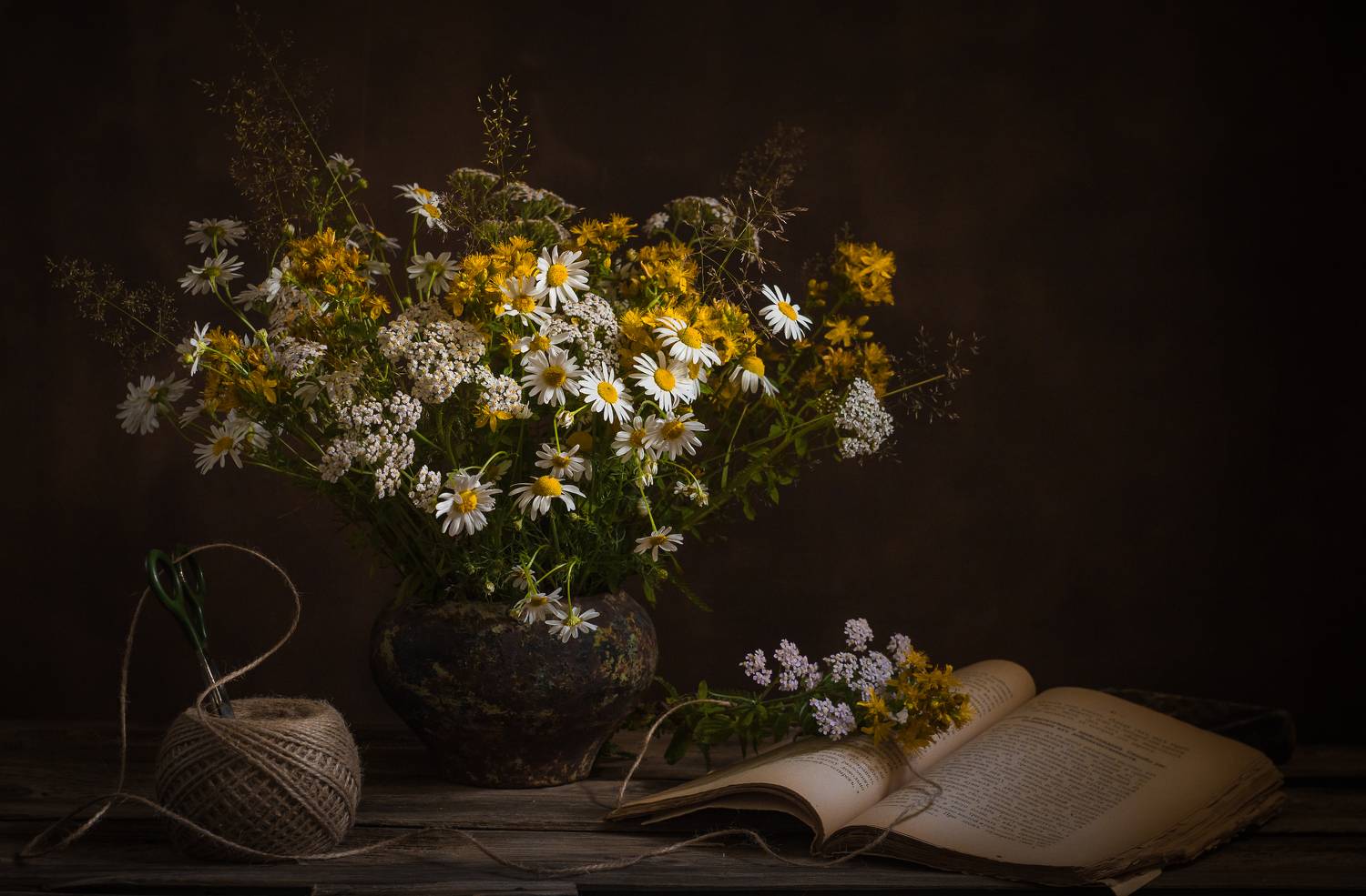 , Хвойнова Елена