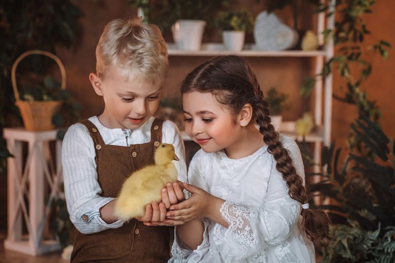 Дети, утята , детская фотосессия , проекты , фотосессия с утятами , проекты с утятами \