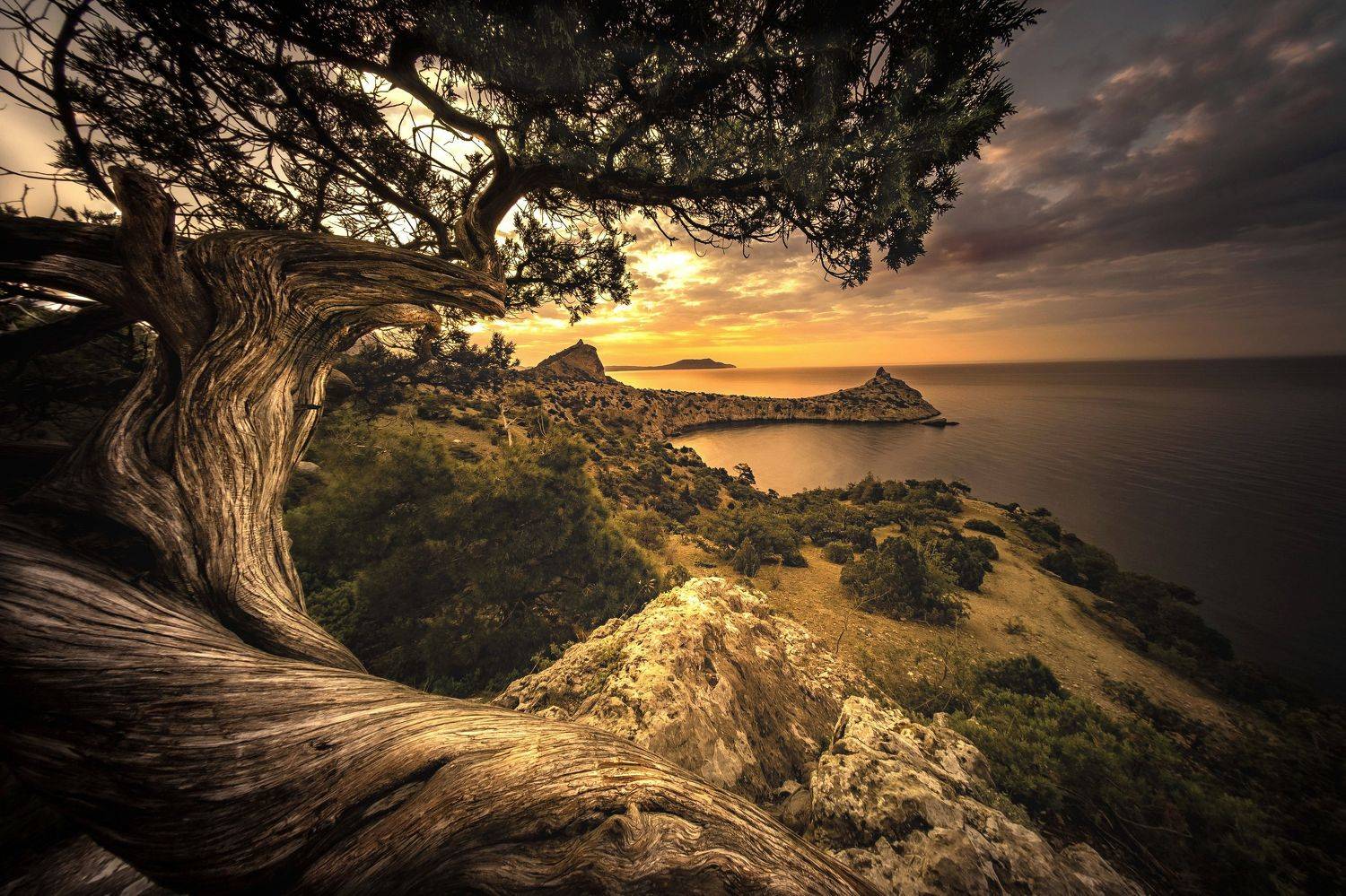 Восход над черным морем. Автор: Разумов Александр Крым , заказник Новый Свет Море, Разумов Александр