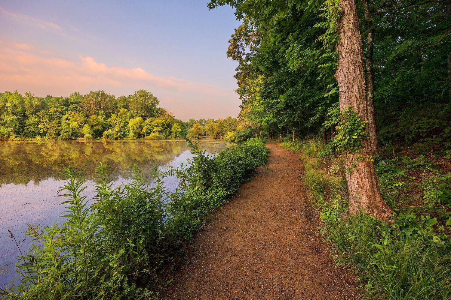 , Леонид Дьяченко