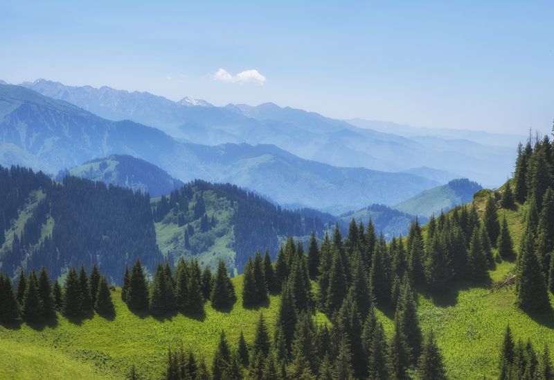 Дымка в горахphoto preview