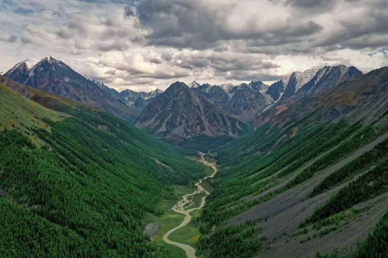 Зелёнкаphoto preview