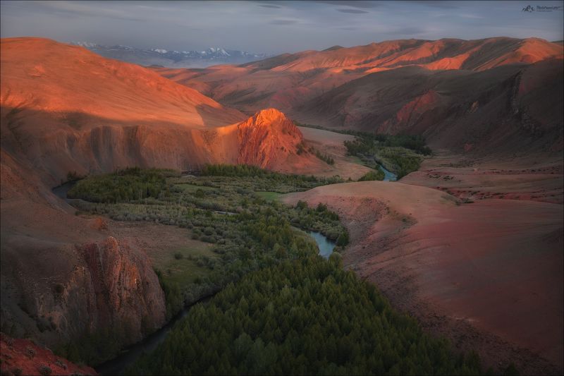 алтай, горный алтай, кош-агач, урочище кокоря, река кызылшин, юстыд, юстыт, фототуры по россии, летний фототур на алтай, осенний фототур на алтай, фототур в монголию Доминантаphoto preview