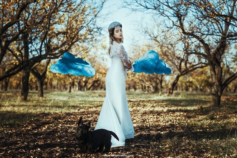 autumn, bride, dog, clouds, white, dress, surrealism Autumn Bridephoto preview