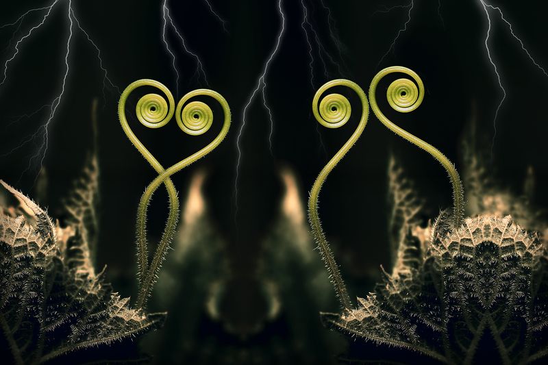 creative, креатив, манипуляция, концепция, абстракция, цифровое, искусство, терпеливость, терпение, спокойствие, abstraction, digitalart, patience, calmness Терпеливость...photo preview