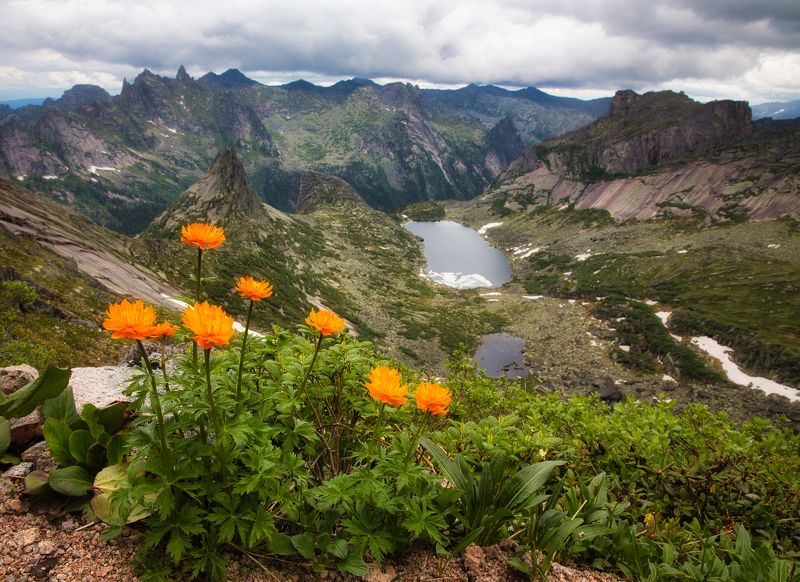 Жарки, Огоньки, Птица, Цветы, перевал, Озеро, Ергаки, горы, Саяны, парабола Жарки на птицеphoto preview