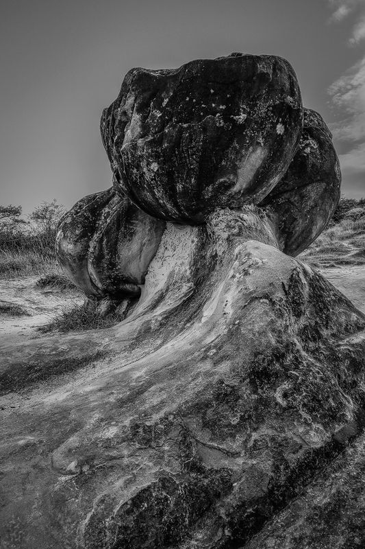 2020 фото превью