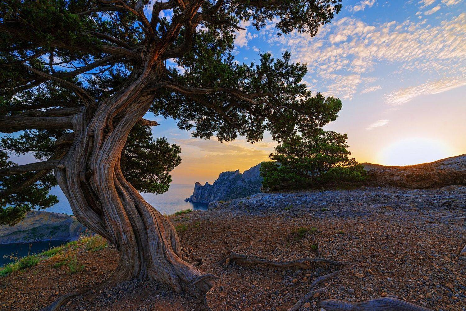 , Вадим Качанов