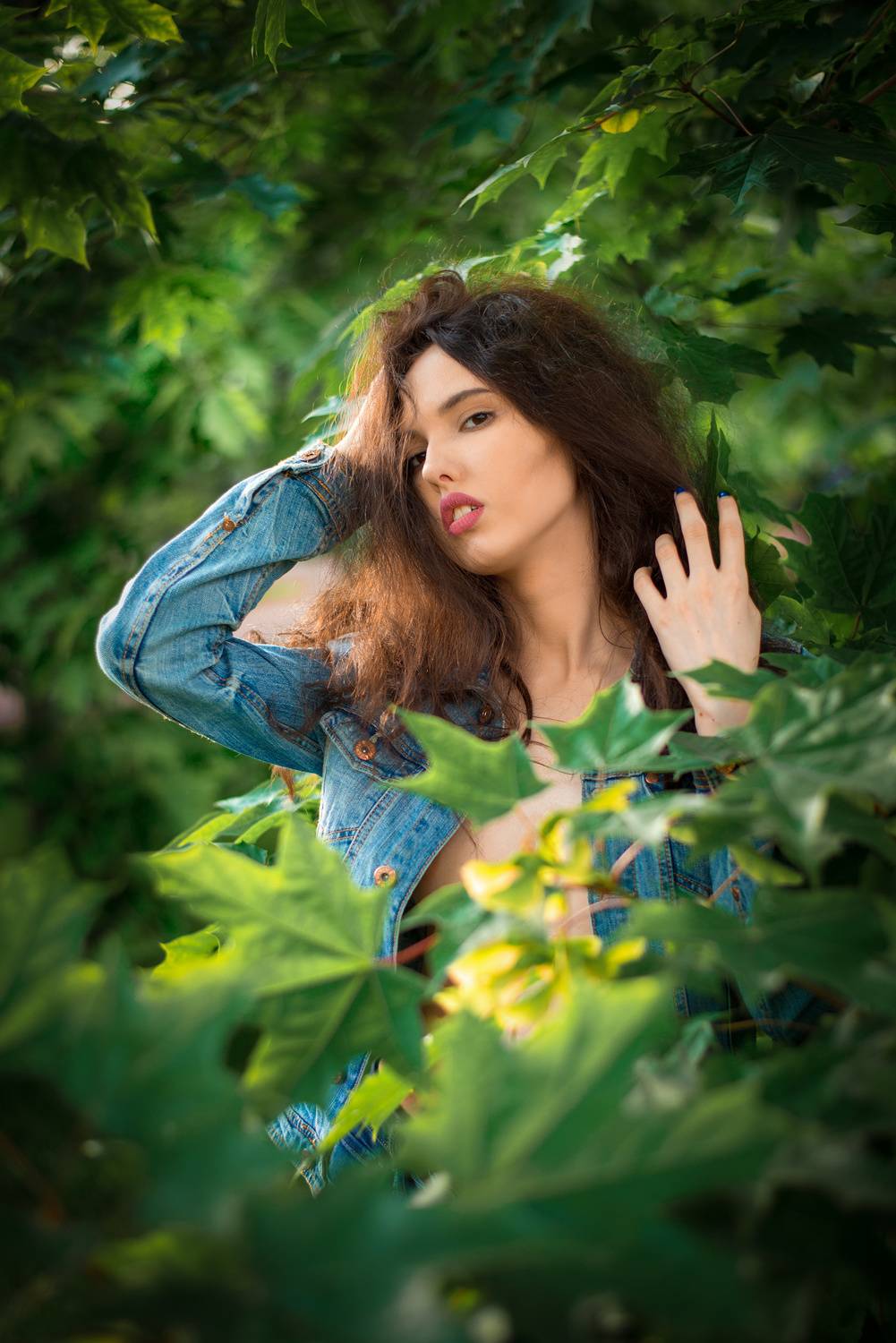 На закате дня. Автор: Serguei Boukarev , Serguei Boukarev