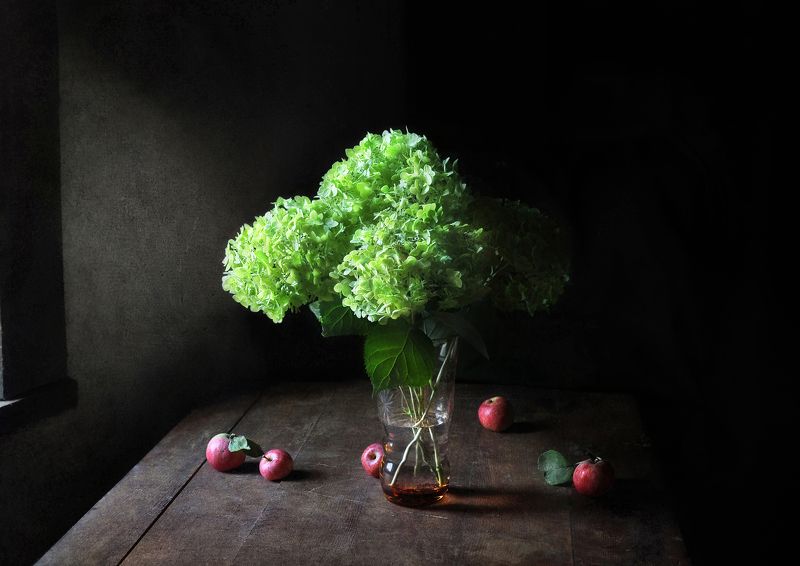 В тиши ночного садаphoto preview