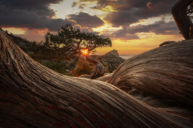 Рассвет в Новом Светеphoto preview