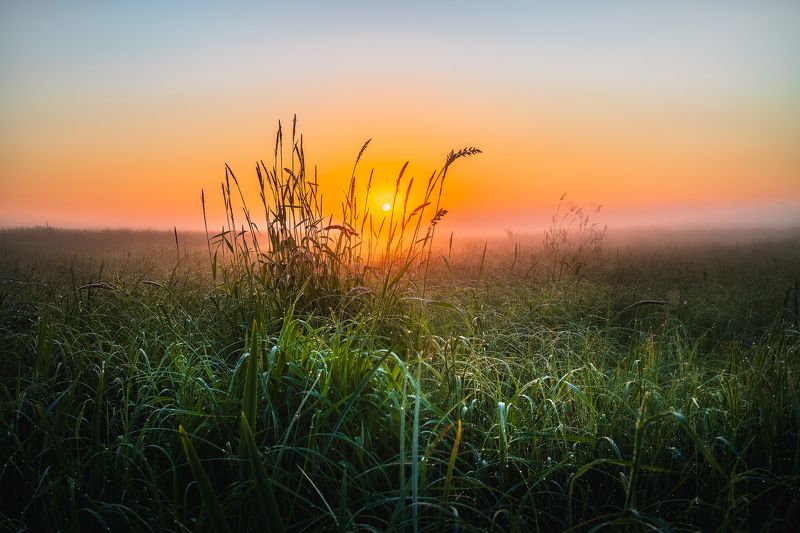 туман рассвет пойма луг роса полесье Беларусь Туманный рассвет фото превью