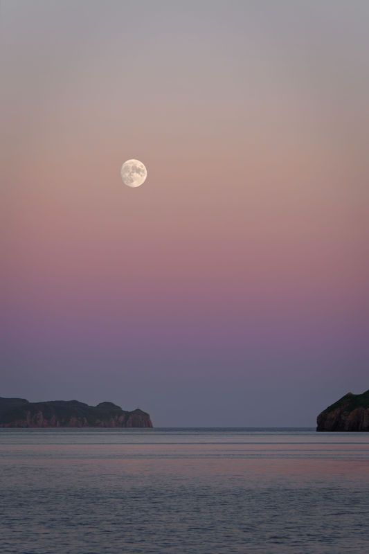 Королевство полной Луныphoto preview