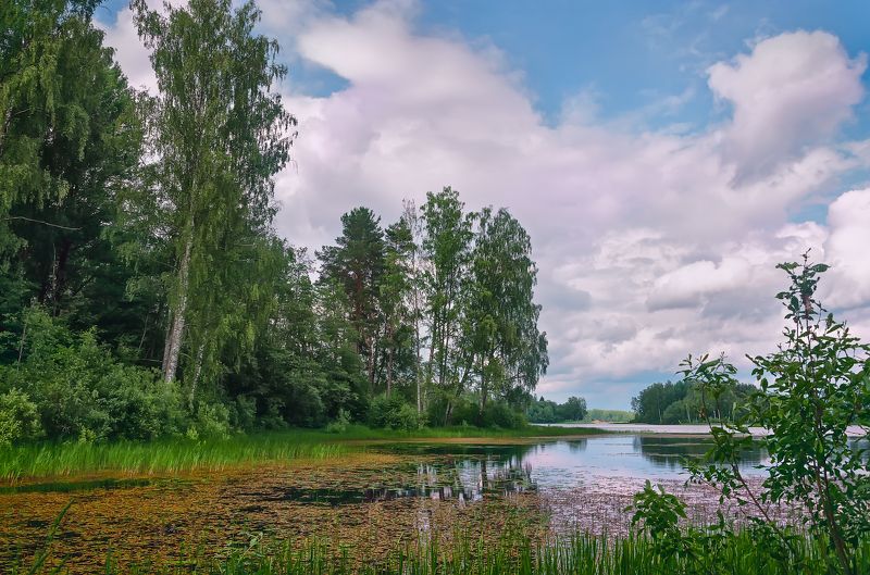 nevant60, пейзаж, красота, природа Уютный уголок Валдаяphoto preview