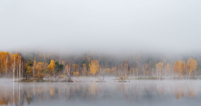 Ангара, река, туман, остров, баклан, осень Туман над Ангаройphoto preview