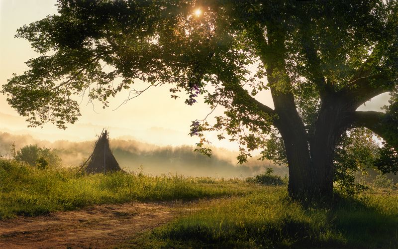 Рассвет, Кинодеревня, Псковская обл., июнь 2023photo preview