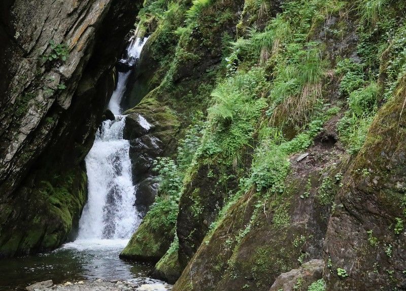 водопадэстюбэ,природа,алтай Водопад Эстюбэ на Телецком озереphoto preview