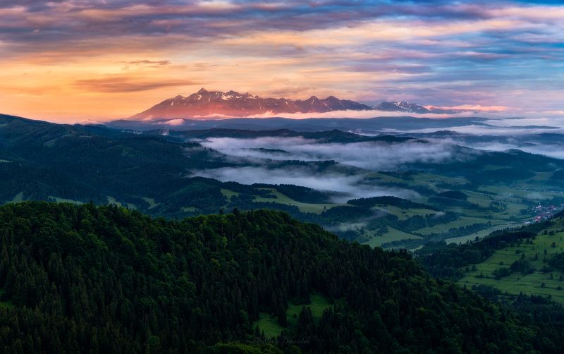 landscape, mountainscape, Poland, Polska, Beskids, Beskidy, Pieniny, Pienins, Tatras, Tatry, sunrise, morning, tree, trees, forest, cloud, clouds, sunlight, mist, Nikon, mountains, highlands, Slovakia, Slovensko Good Morningphoto preview