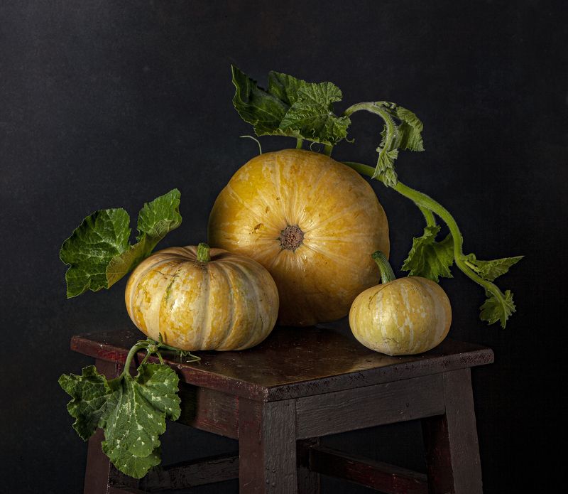 Новый урожайphoto preview