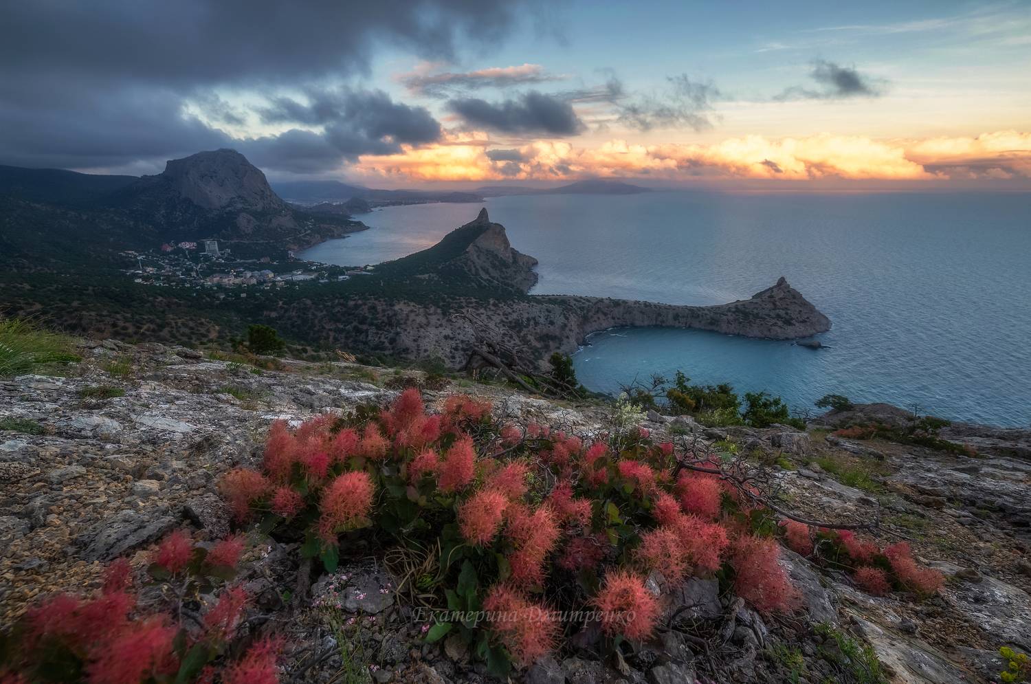 Вечерний Новый Свет. Автор: Дмитренко Екатерина крым, вечер, пейзаж, новый свет, судак, закат, лето, crimea, landscape, sea, скумпия, Дмитренко Екатерина