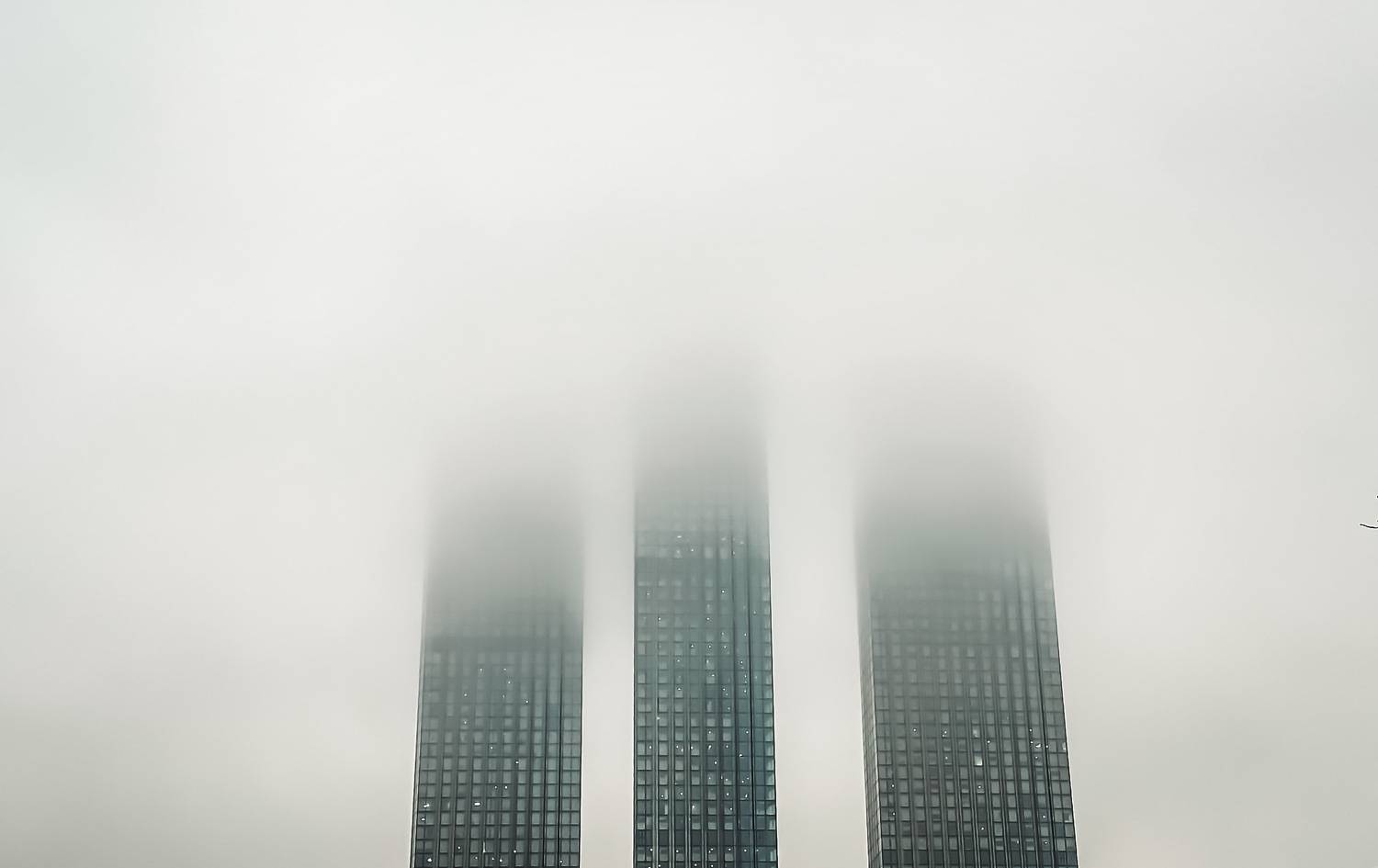 Автор: Dmitry V. Petrenko , Dmitry V. Petrenko